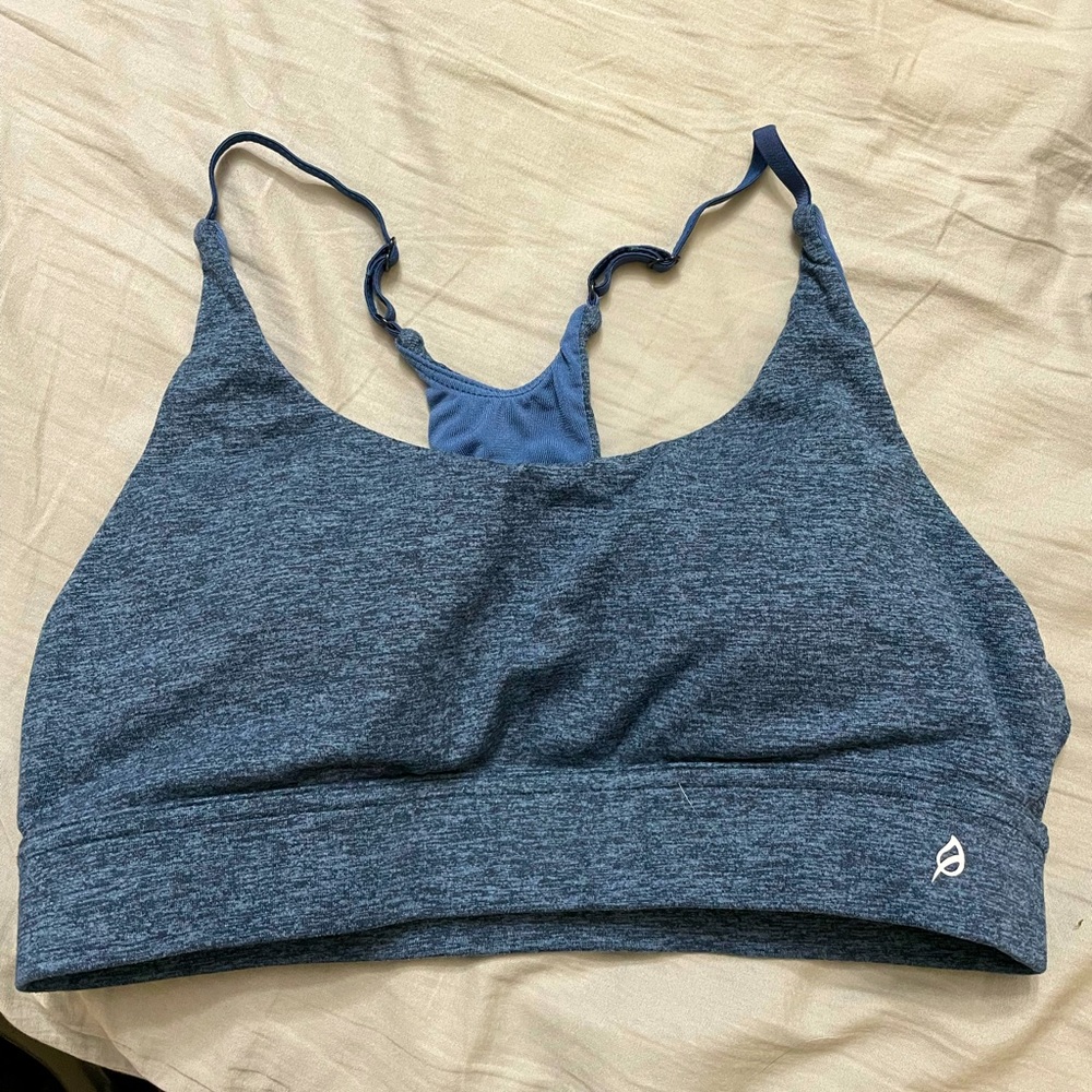 Ptula Deep Blue Bare Sports Bra